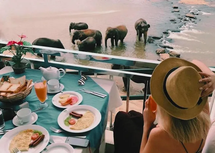 Hotel Elephant Park - New Deal! Exclusive Offers On Pickups Available! Pinnawala 