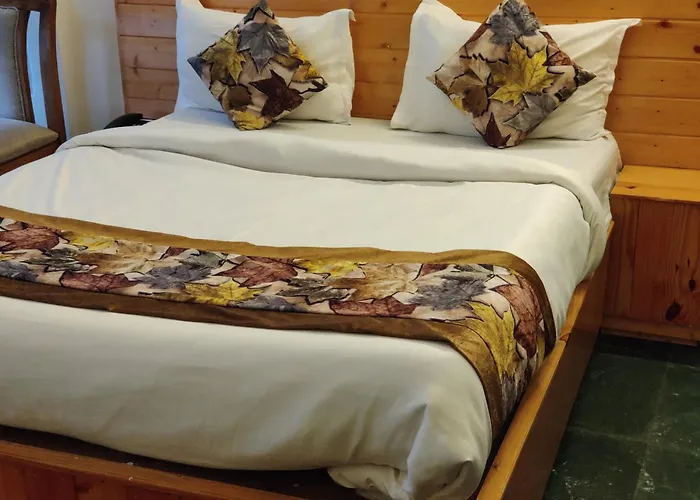 Barog Times Hotel Solan