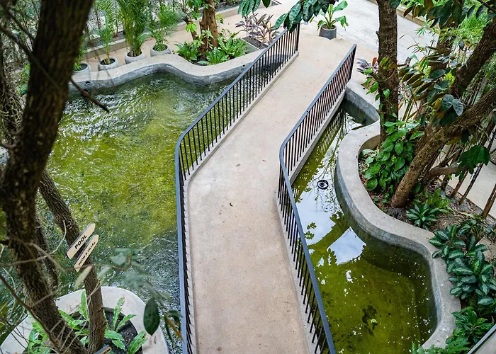 Rainforest Hotel By Nsun Kampot
