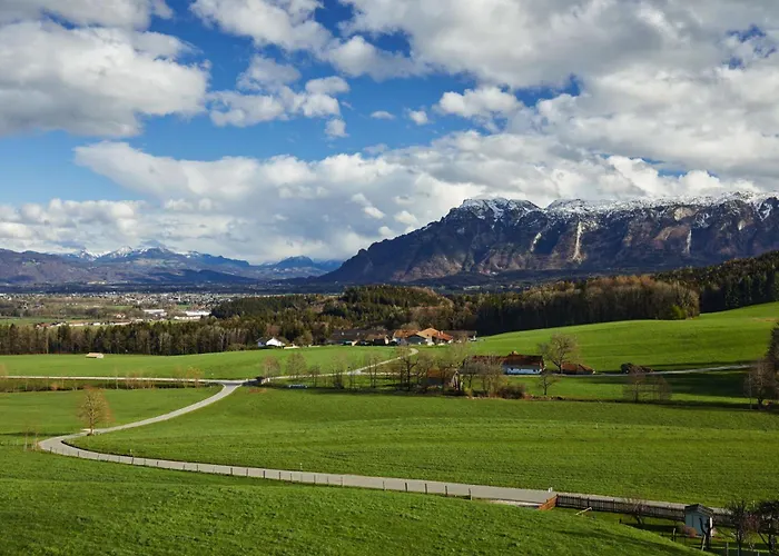 Das Salzburgblick Ainring