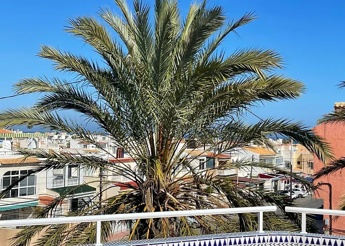 Anna'S Garden Bed & Breakfast Torrevieja