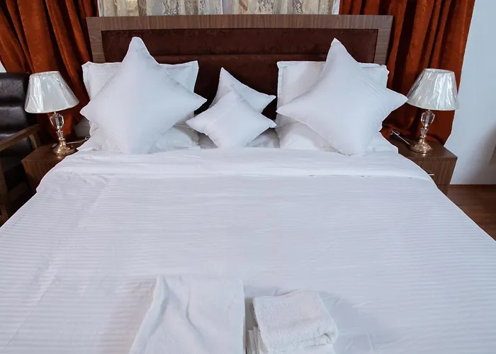 Hotel Sultan Residency Srinagar 