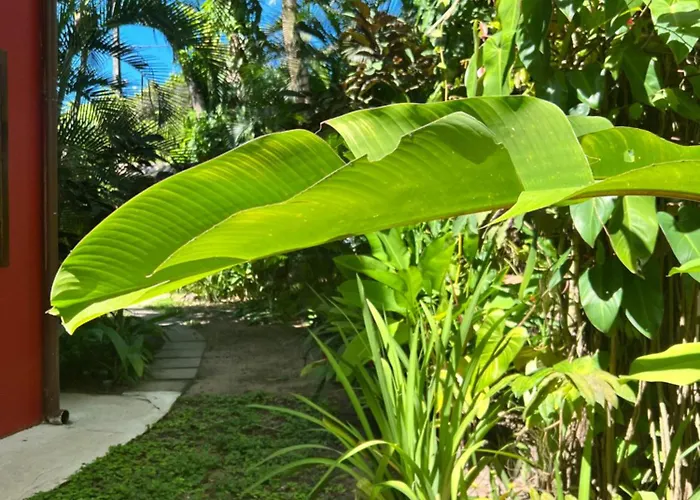 Casa Da Beatriz Acomodação com café da manhã Trancoso