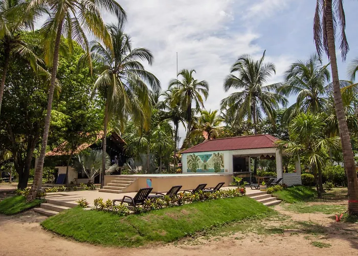 Socialtel Palomino - Formerly Selina Palomino