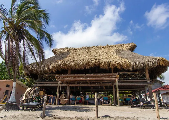 Socialtel Palomino - Formerly Selina Palomino