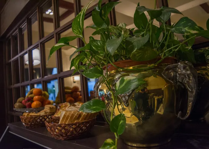 Hotel Viña de Italia Córdoba