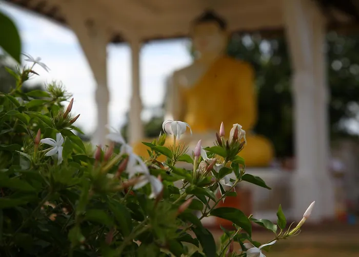 The Yala City Guest House Tissamaharama