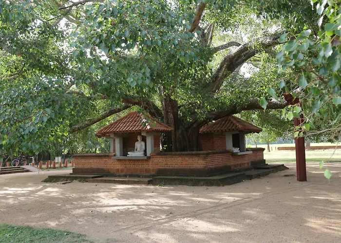 The Yala City Guest House Tissamaharama