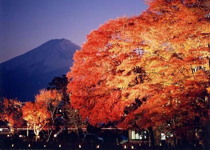 Fujisan Resort Hotel - Vacation Stay 57971V Fujikawaguchiko
