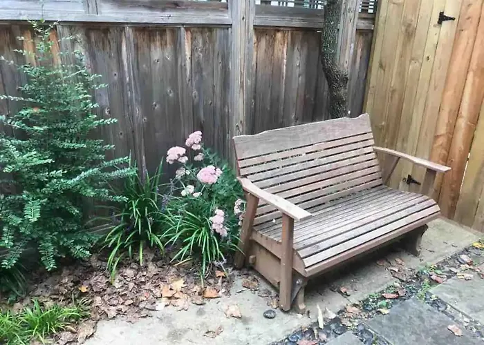 Cozy Studio Near Dc Falls Church