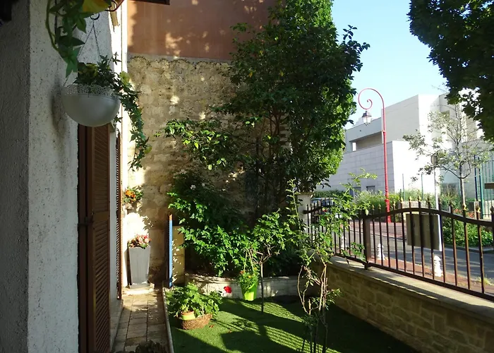 La bambouseraie Montrouge