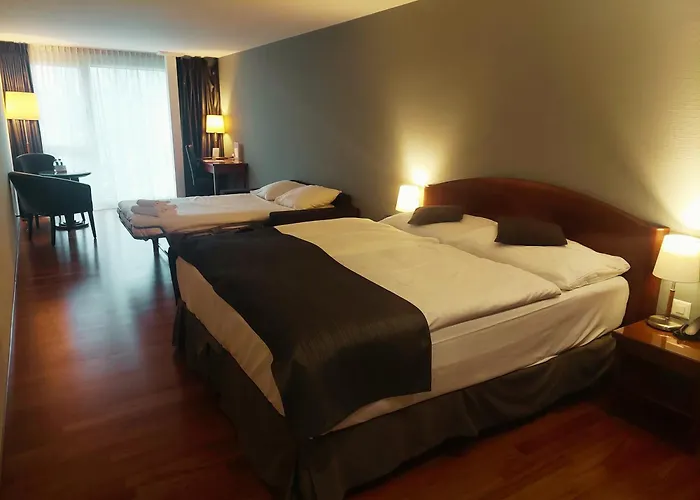 Hotel Rallye & Entrees Aux Bains De La Gruyere Bulle