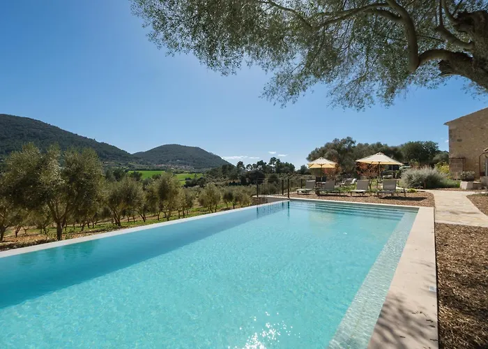 Fincahotel Treurer - Olive Grove & Grand House - Adults Only Algaida 