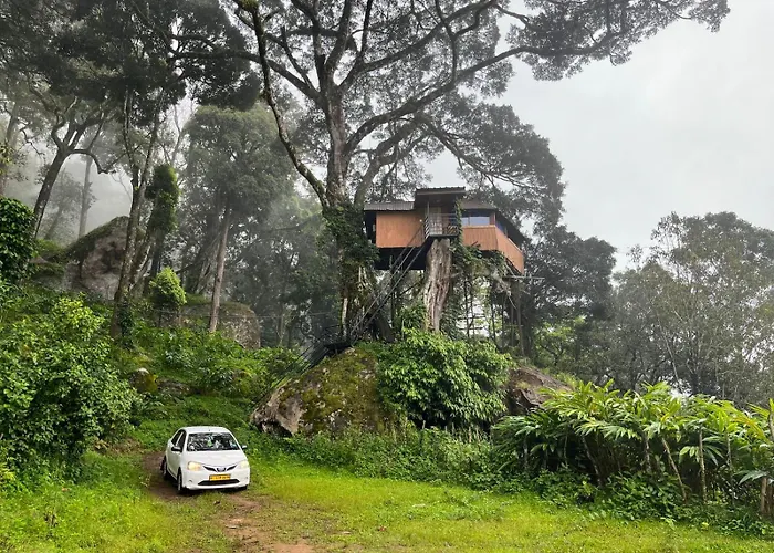 Tree House Munnar Hotel