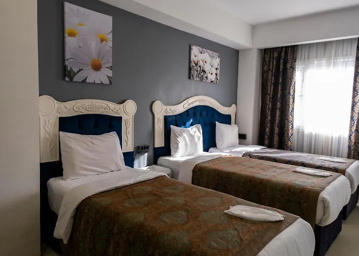 Albatros Hagia Sophia Hotel İstanbul
