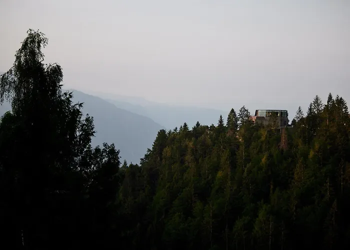 Hotel Saltus Jenesien