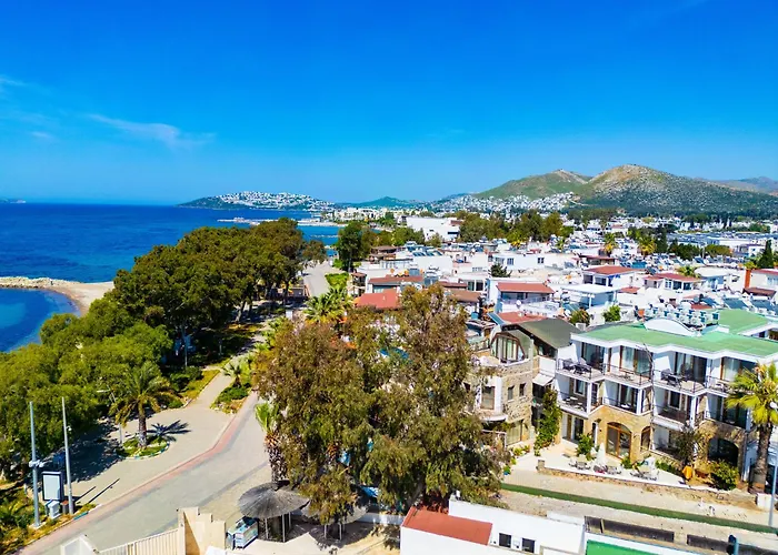 Asterina Hotel Turgutreis