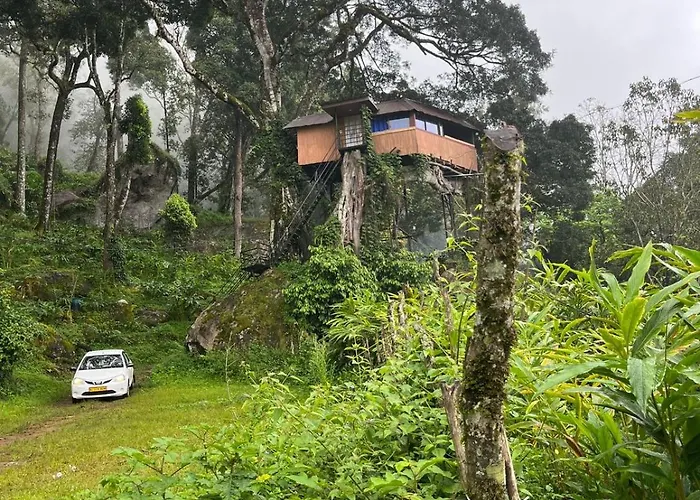 Tree House Munnar Hotel