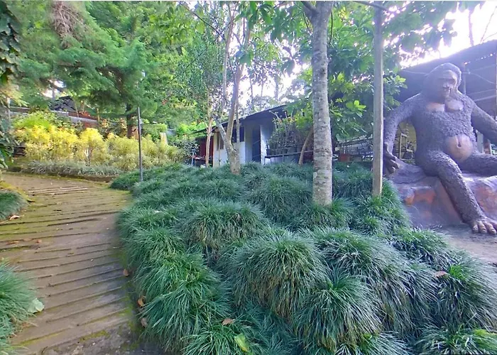 Wayanad Royal Stream Bed & Breakfast Kalpetta