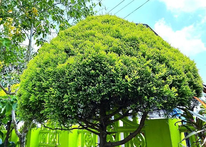 Deluxe Residency Hotel Kalpetta