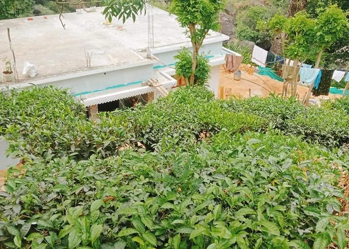 Attukad Waterfalls Near Individual 4 Rooms Cottage 4Bhk 'Attukad Tea Estate' Devikolam