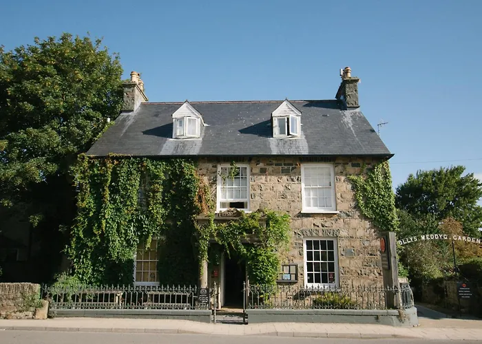 Llys Meddyg Hotel Newport 