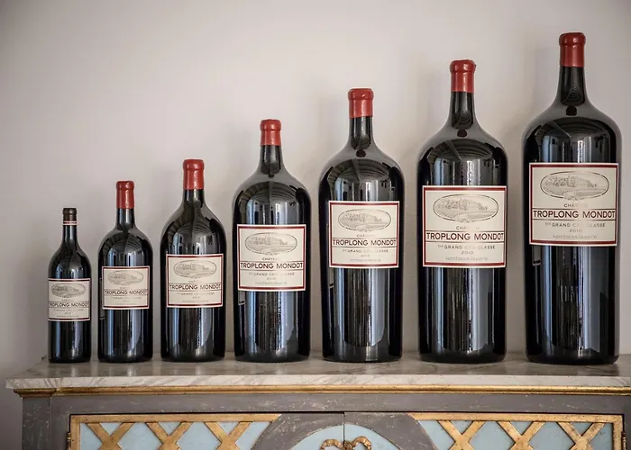 Les Belles Perdrix de Troplong Mondot Saint-Émilion