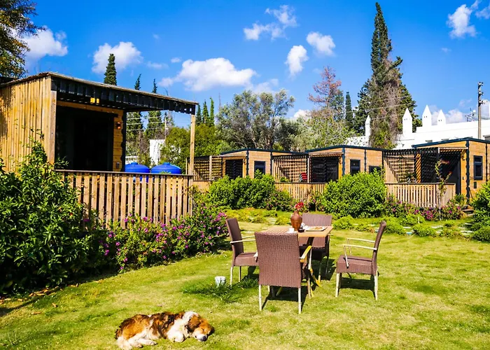 Bitez Tiny House & Beach Bodrum