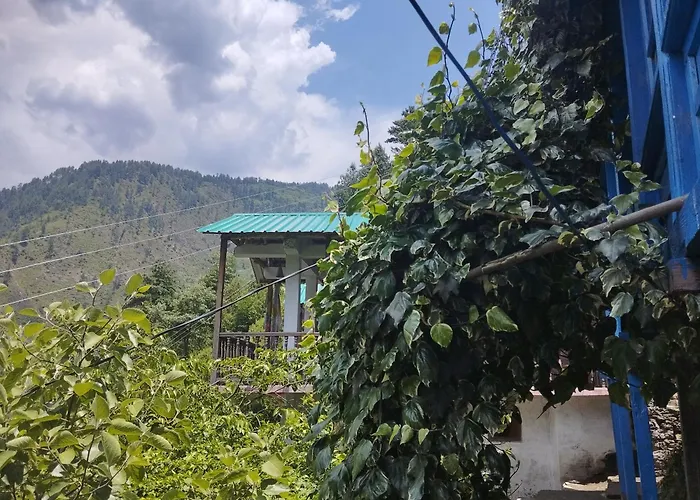 Tirthan View Homestay Gushaini