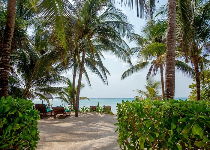 Casa Colibri Tankah Bed & Breakfast Tulum
