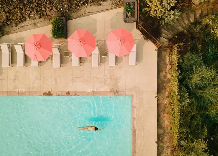 Sagecliffe Resort & Spa George