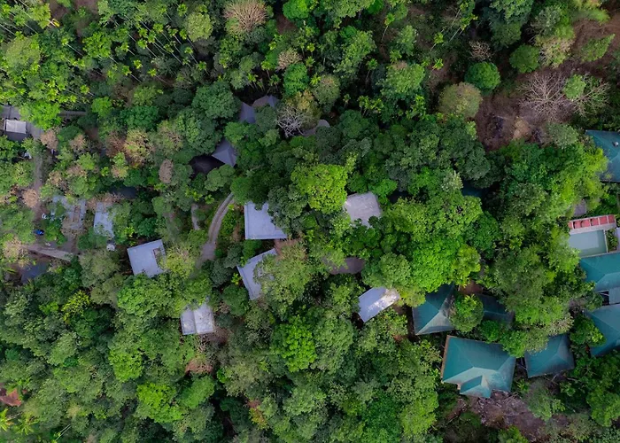 The Hive Wayanad Hotel