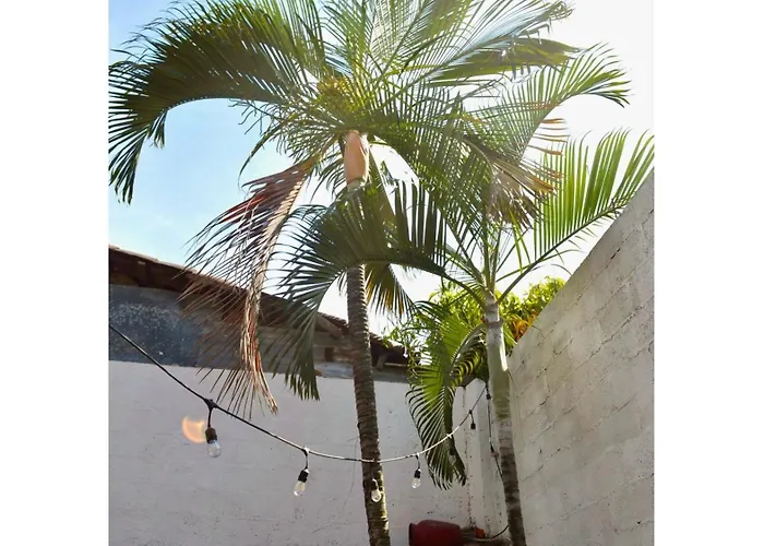 Casa Coco Hostel Santa Ana