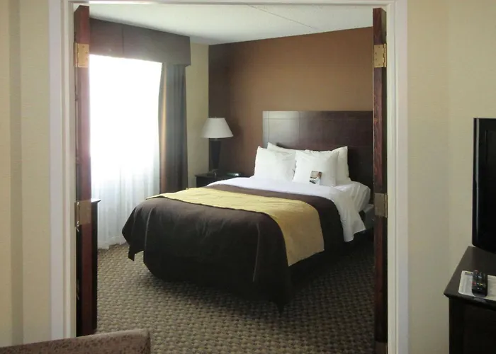 Comfort Inn & Suites Pittsburgh Fox Chapel Montrose Hill