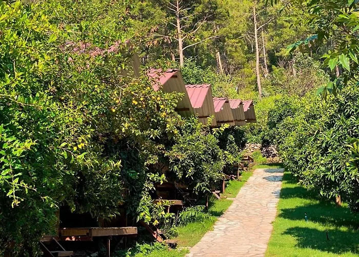 Olympos Camlık Pension