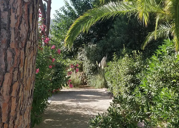 La Beluga Hotel Sainte-Maxime