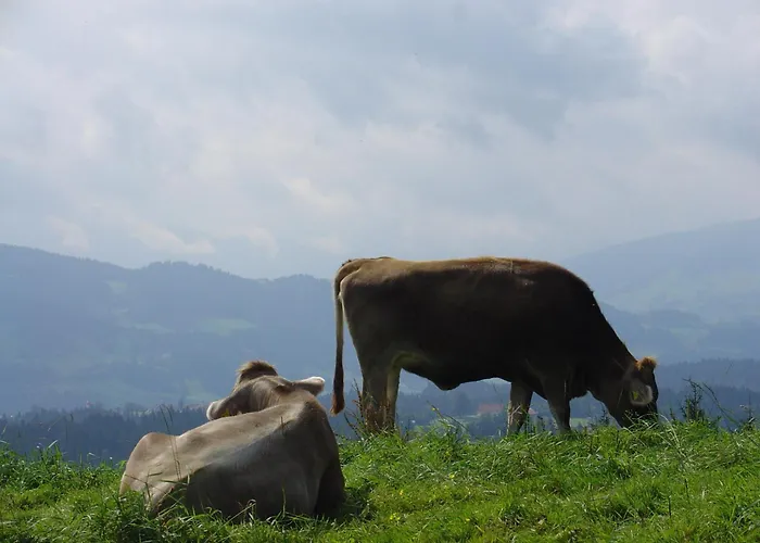 Landhotel Herzberger garni Zimmer&Ferienwohnungen Scheidegg