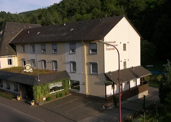 Hotel Dampfmühle Enkirch