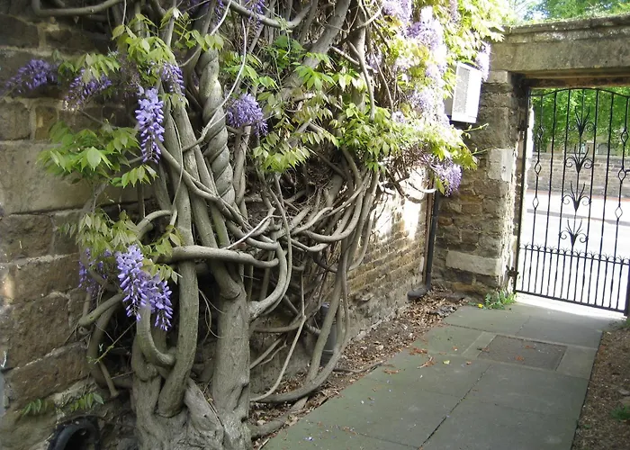 Wisteria Hotel Oakham