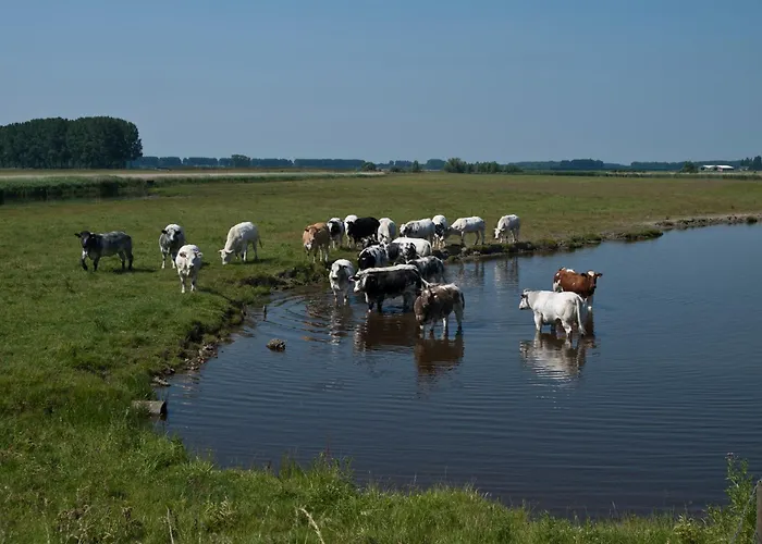 De Eenhoorn Oostburg