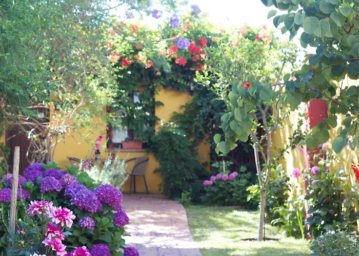 Hotel Donana Blues Matalascañas