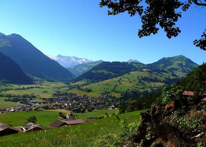 Sonnegg Hotel Zweisimmen