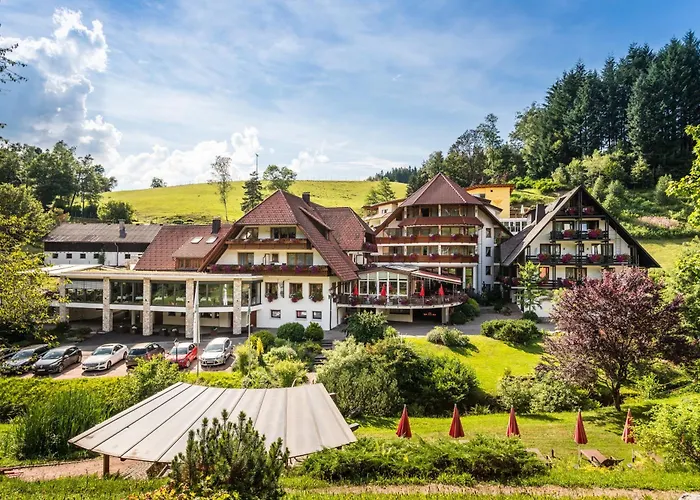 Naturparkhotel Adler Wolfach