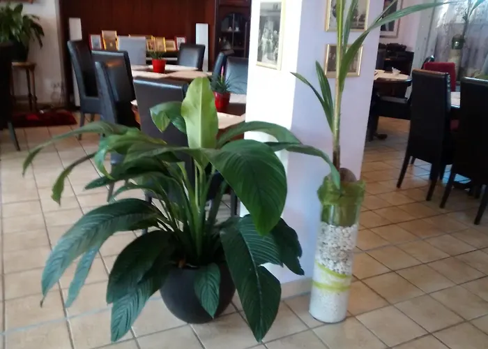 Hotel Attaché Raunheim