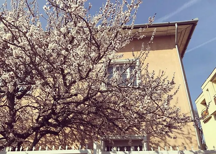 Kis Gellért Guesthouse Budapest