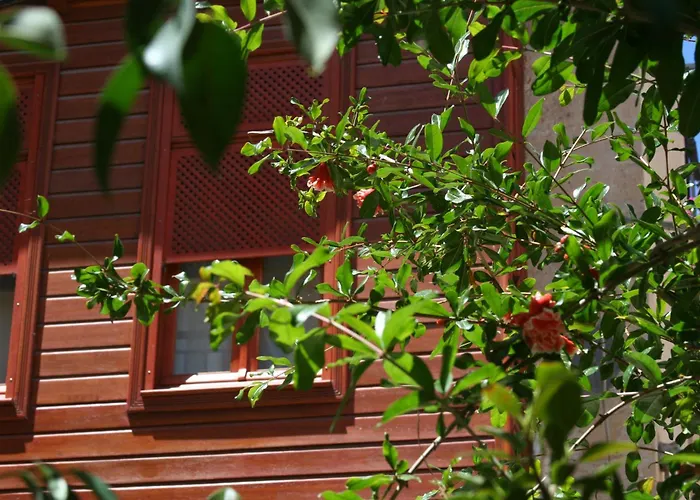 Ionas Boutique Hotel La Canée