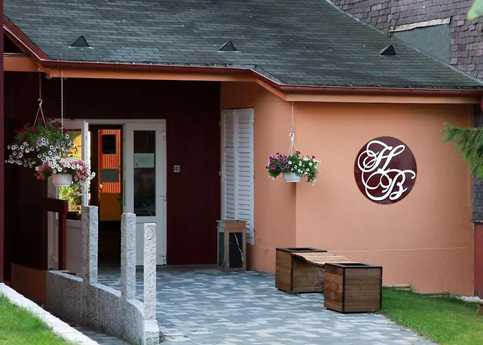 Hotel Des Bains Gérardmer