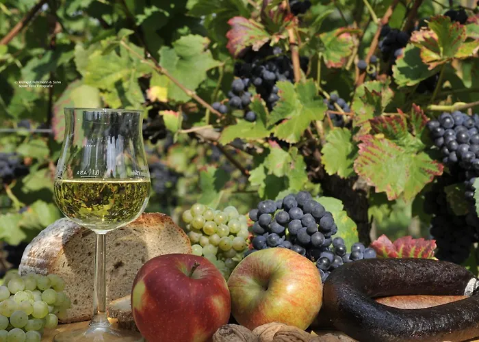 Hotel Ferienweingut Arnold Fuhrmann&Sohn Ellenz-Poltersdorf