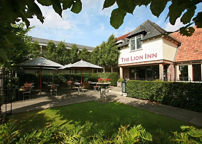 The Lion Inn Chelmsford