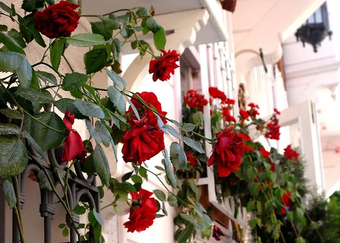 Darussaade Hotel Old City - Sultanahmet Istanbul